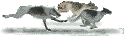 running